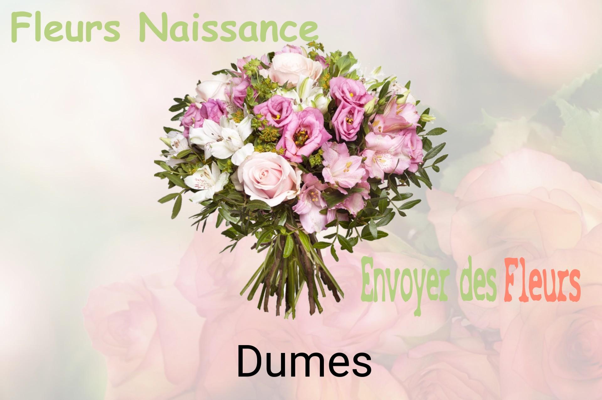 Bouquet de fleurs de naissance livré à Dumes