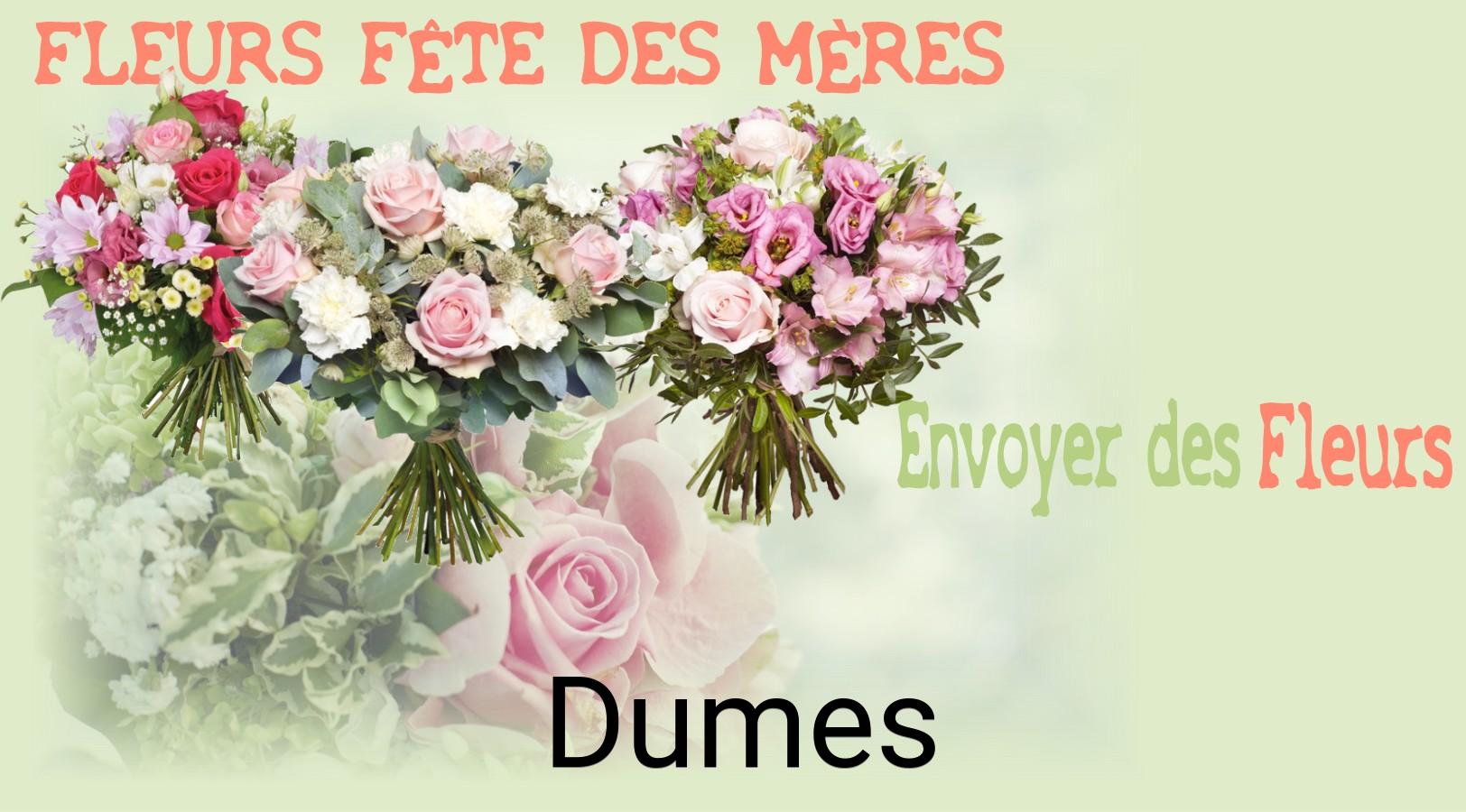 Bouquet de Fête des Mères livré à Dumes