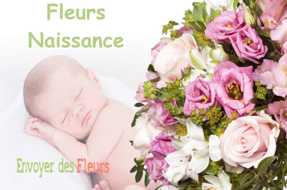 lIVRAISON FLEURS NAISSANCE à DUMES